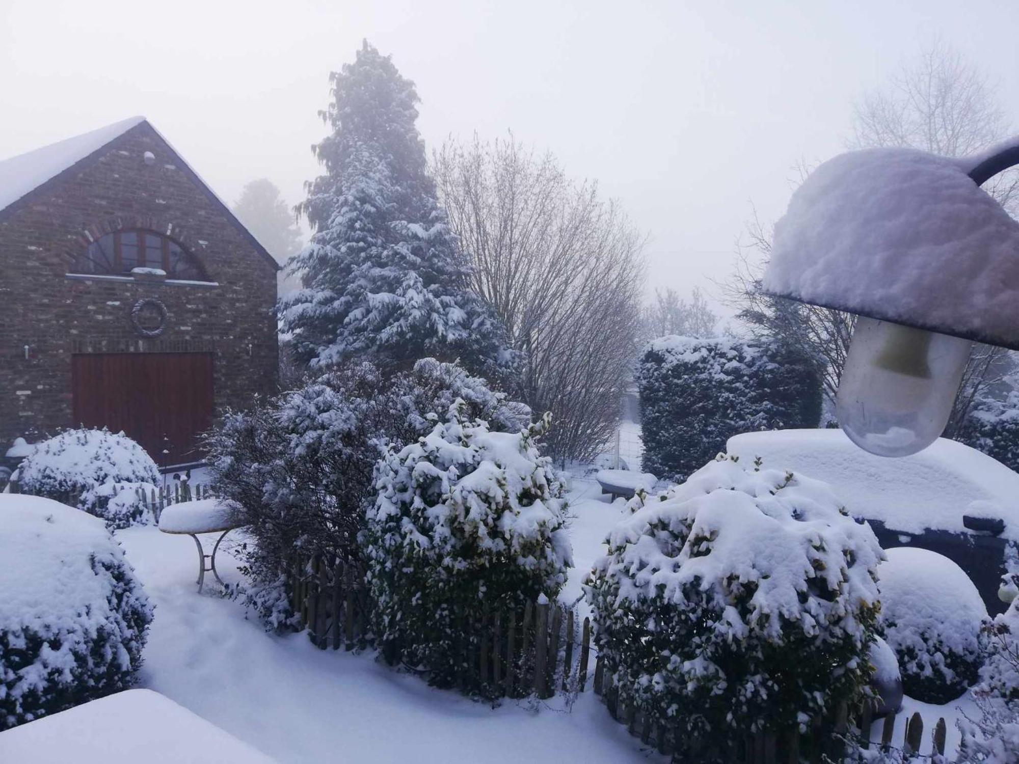 Bed and Breakfast A L'Ombre Du Noyer Fernelmont Exterior foto